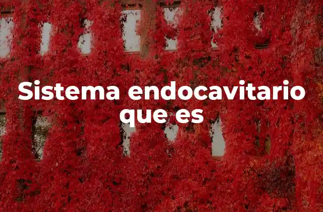 El acceso seguro al corazón mediante procedimientos mínimamente invasivos