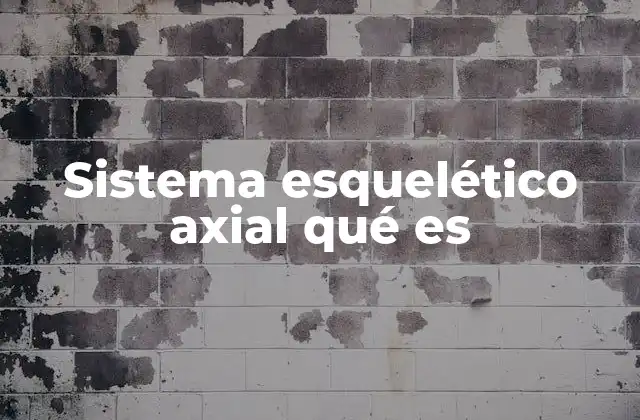Sistema Esquelético Axial Qué es