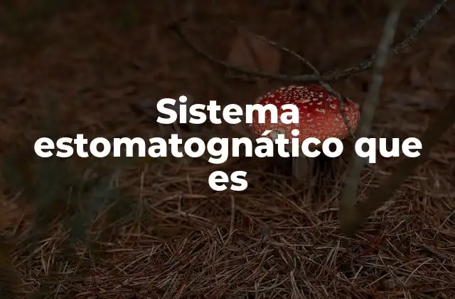 Sistema Estomatognático que es