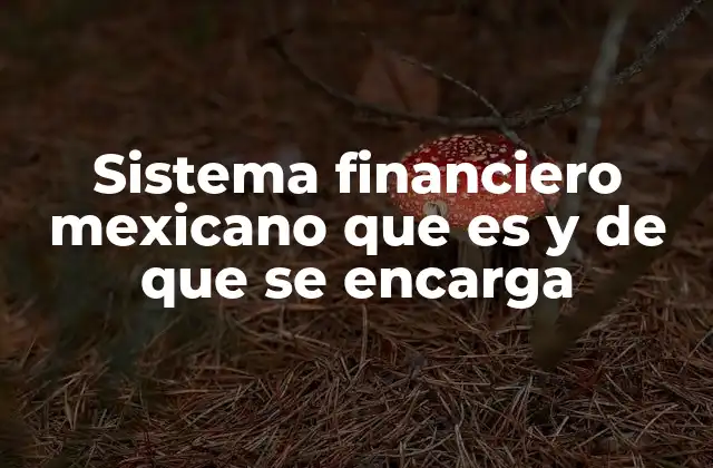 Cómo funciona el sistema financiero mexicano