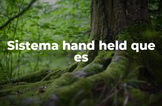 Sistema Hand Held que es