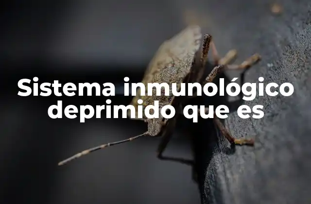 Sistema Inmunológico Deprimido que es