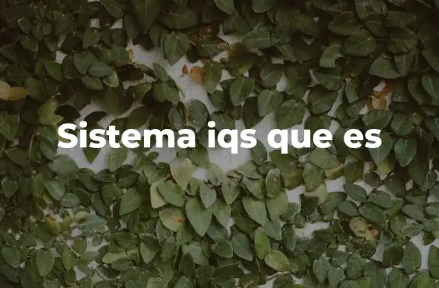 Sistema Iqs que es