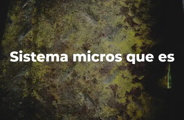 Sistema Micros que es