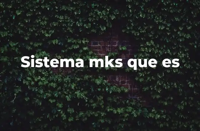 Sistema Mks que es