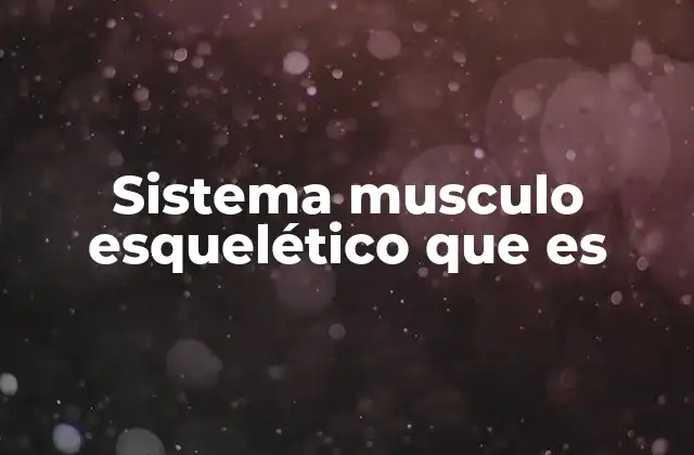 Sistema Musculo Esquelético que es