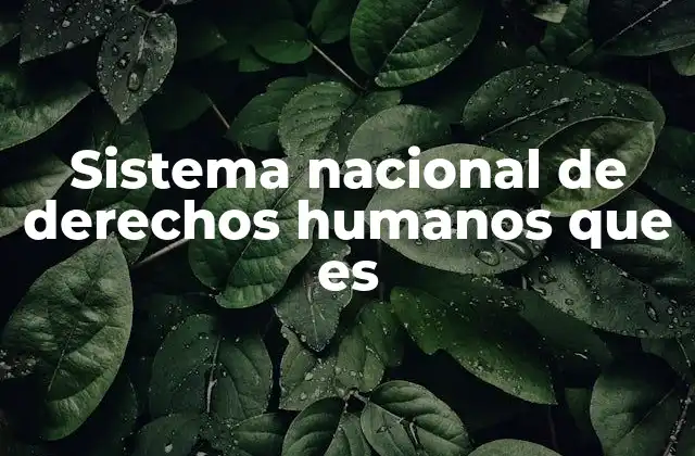 Sistema Nacional de Derechos Humanos que es