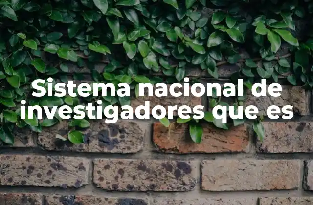 Sistema Nacional de Investigadores que es