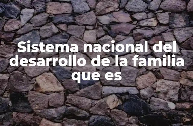 Sistema Nacional Del Desarrollo de la Familia que es
