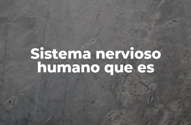 Sistema Nervioso Humano que es