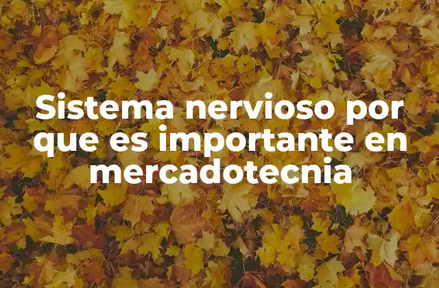 Sistema Nervioso por que es Importante en Mercadotecnia