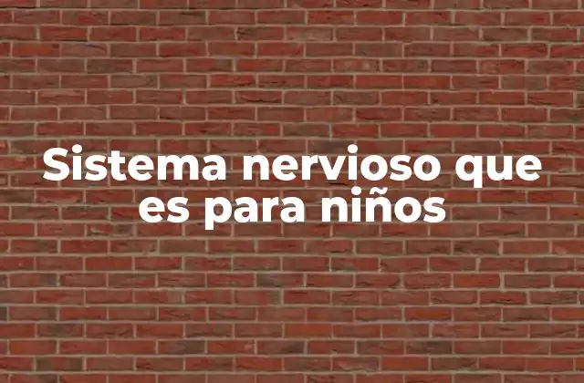 Sistema Nervioso que es para Niños