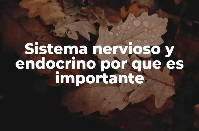 Cómo interactúan los sistemas nervioso y endocrino