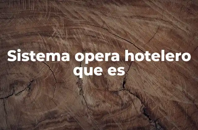Sistema Opera Hotelero que es