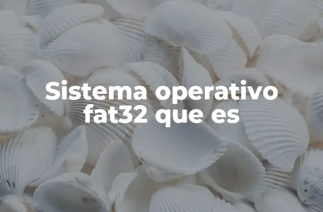 Sistema Operativo Fat32 que es