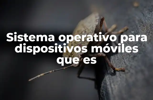Sistema Operativo para Dispositivos Móviles que es