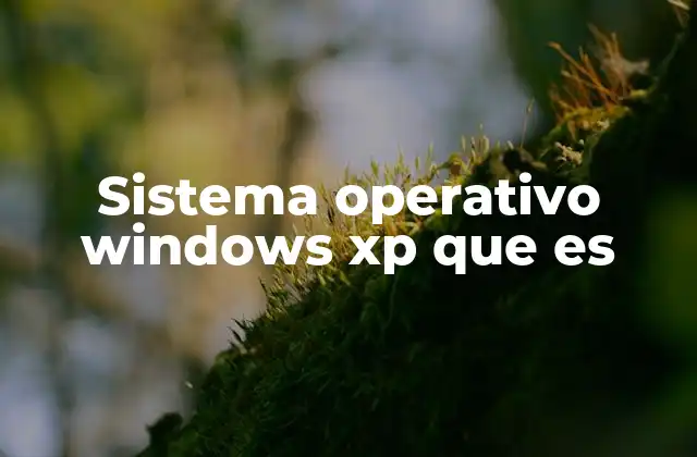 Sistema Operativo Windows Xp que es