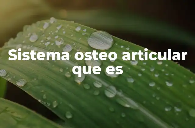 Sistema Osteo Articular que es