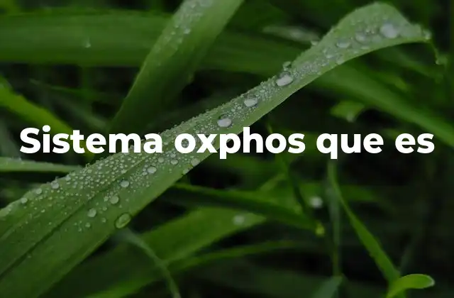 Sistema Oxphos que es