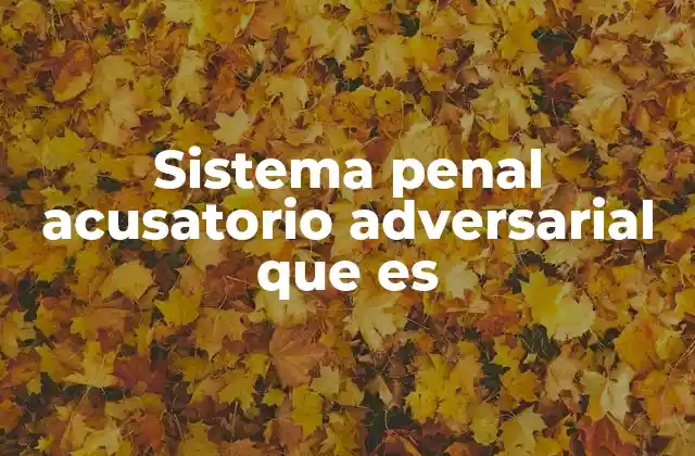 Sistema Penal Acusatorio Adversarial que es