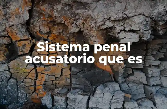 Sistema Penal Acusatorio que es
