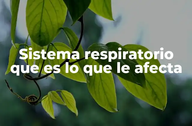 Sistema Respiratorio que es Lo que Le Afecta