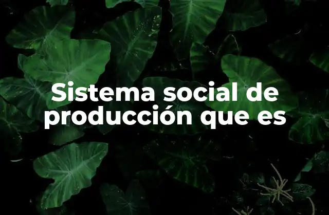Sistema Social de Producción que es
