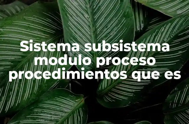 Sistema Subsistema Modulo Proceso Procedimientos que es