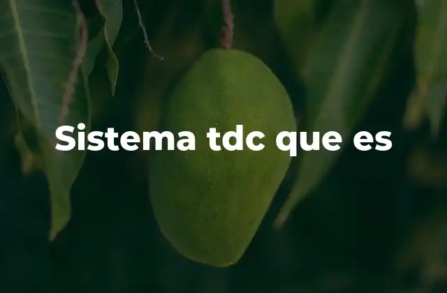 Sistema Tdc que es