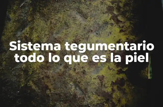 Sistema Tegumentario Todo Lo que es la Piel