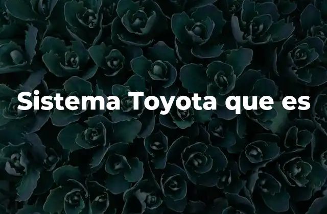 Sistema Toyota que es