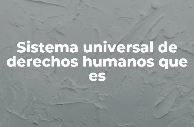 Sistema Universal de Derechos Humanos que es