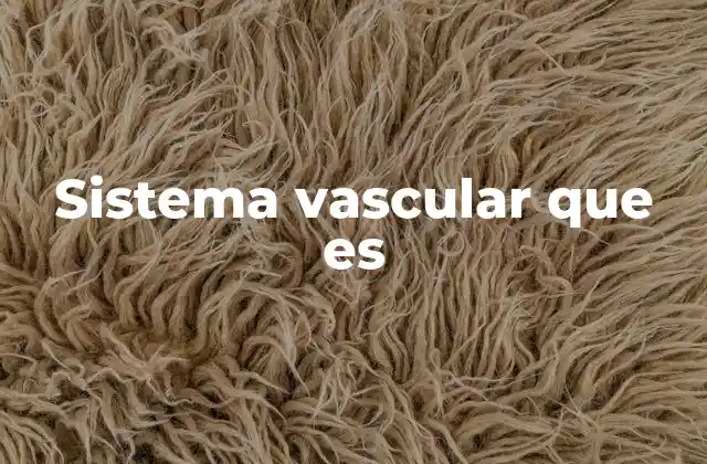 Sistema Vascular que es