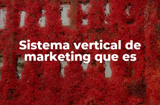Sistema Vertical de Marketing que es