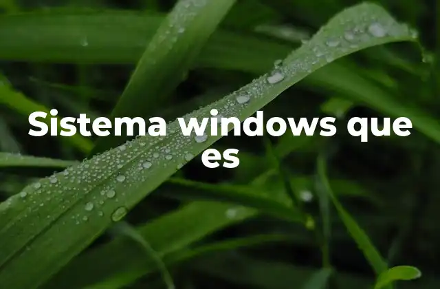 Sistema Windows que es