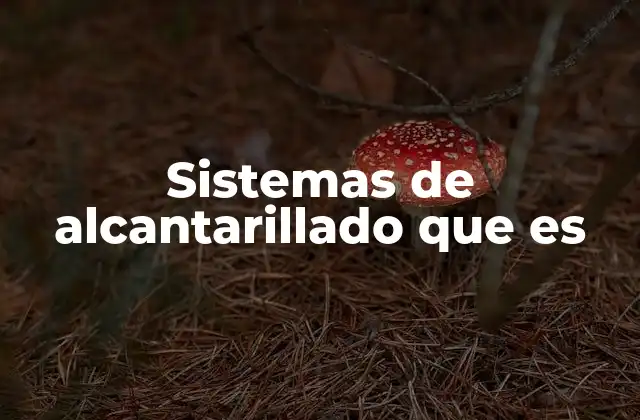 Componentes y funcionamiento de los sistemas de drenaje urbano