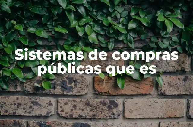 Sistemas de Compras Públicas que es