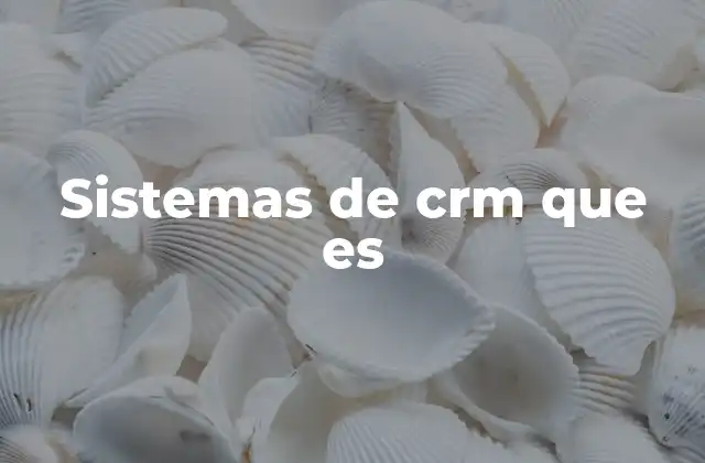 Sistemas de Crm que es