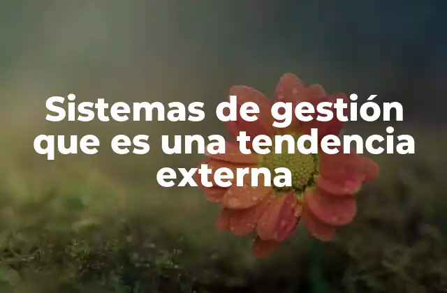 Sistemas de Gestión que es una Tendencia Externa