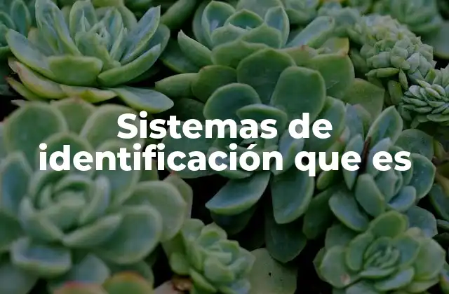 Sistemas de Identificación que es