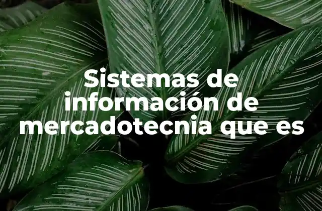 La importancia de los datos en el marketing moderno