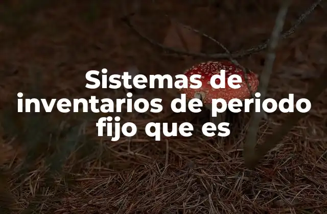 Sistemas de Inventarios de Periodo Fijo que es