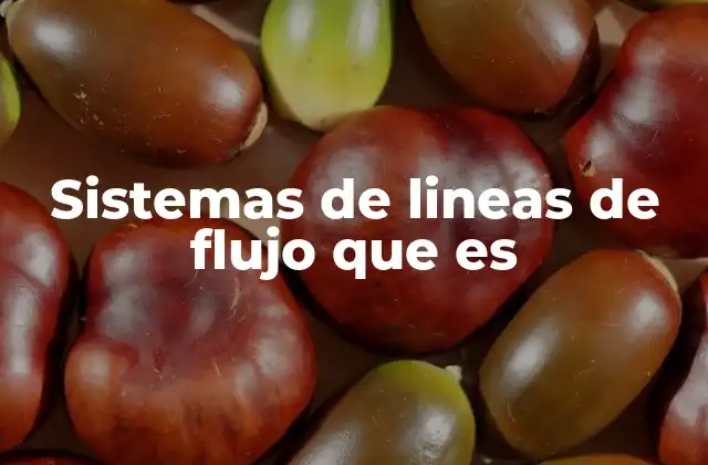 Sistemas de Lineas de Flujo que es