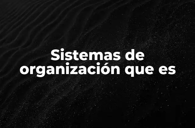 Sistemas de Organización que es