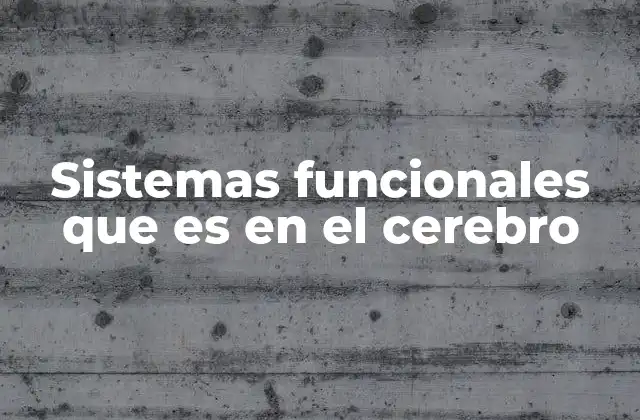 Sistemas Funcionales que es en el Cerebro