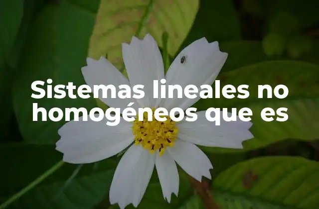 Sistemas Lineales No Homogéneos que es