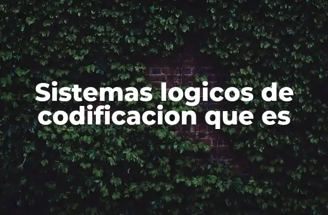 Sistemas Logicos de Codificacion que es
