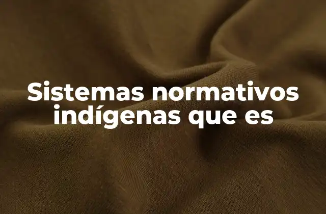 Sistemas Normativos Indígenas que es