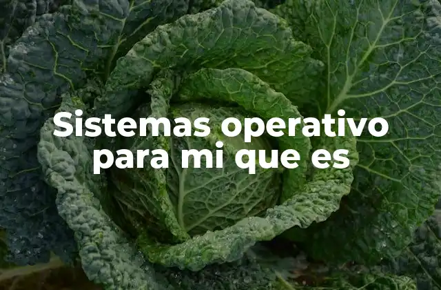 Sistemas Operativo para Mi que es