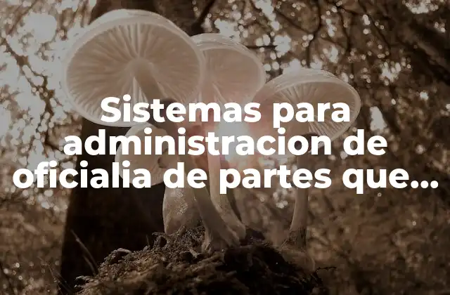 Sistemas para Administracion de Oficialia de Partes que es